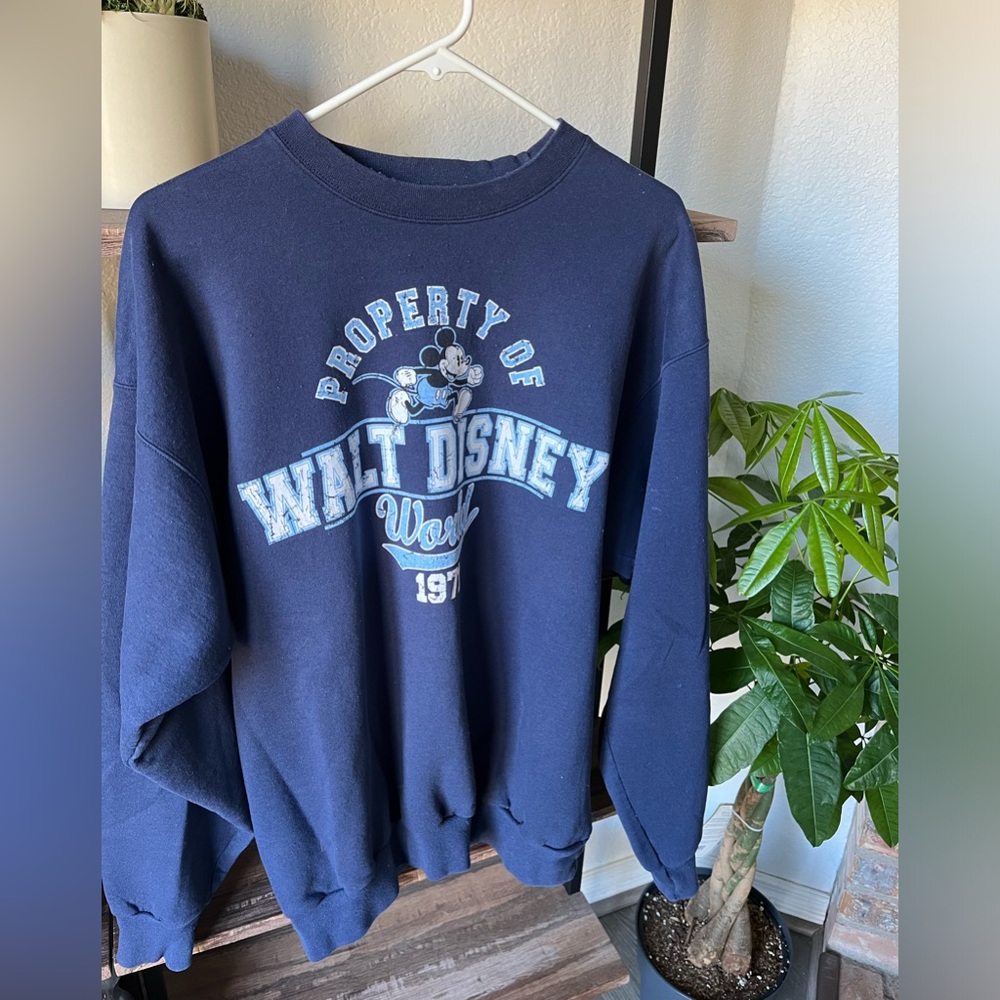DisneyWorld Sweatshirt, XL